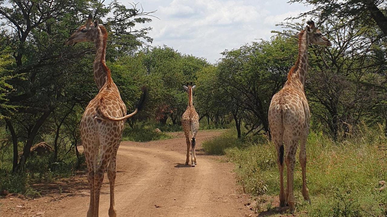Monateng Safari 4*