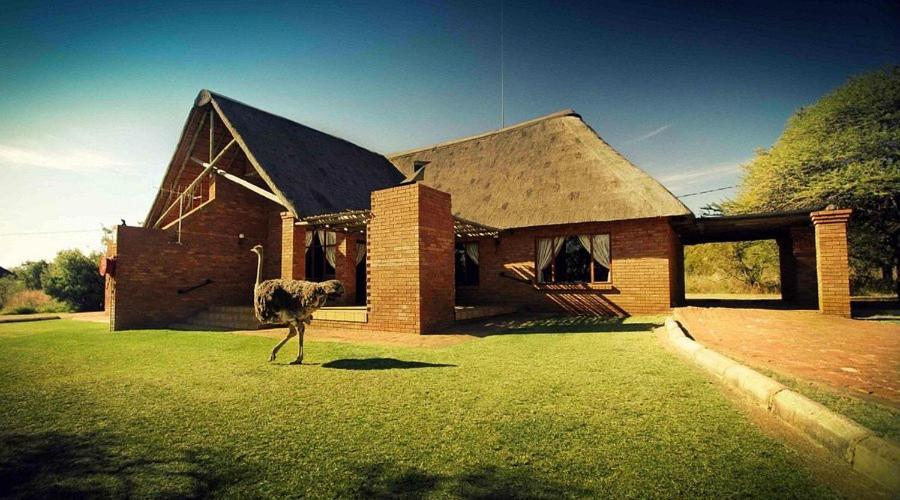 Monateng Safari Wallmannstal